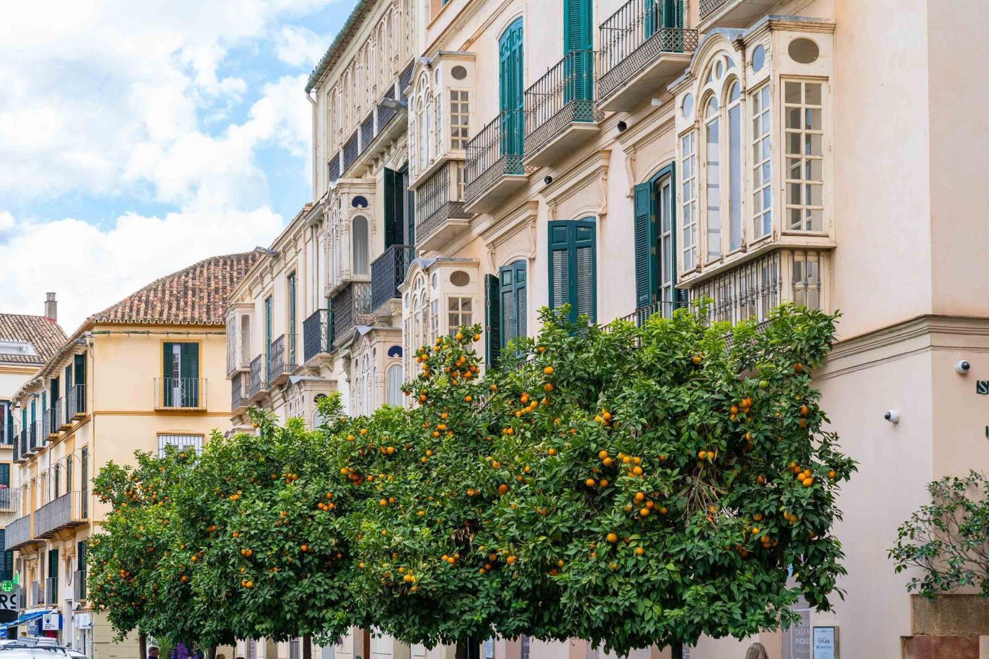 Limehome Malaga Calle Victoria 外观 照片
